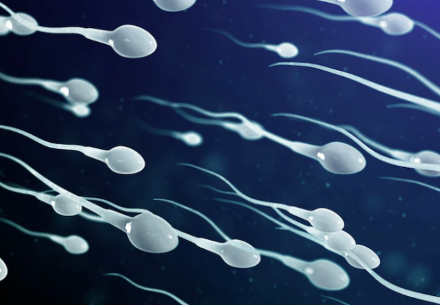 Tinh trùng yếu là nguyên nhân phổ biến gây vô sinh hiếm muộn ở nam giới Tinh trùng yếu là nguyên nhân phổ biến gây vô sinh hiếm muộn ở nam giới