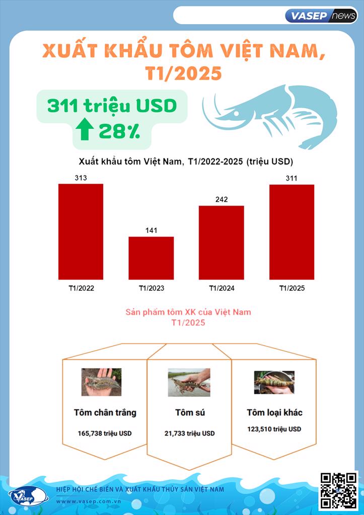 Xuất khẩu tôm Việt Nam tháng 1/2025