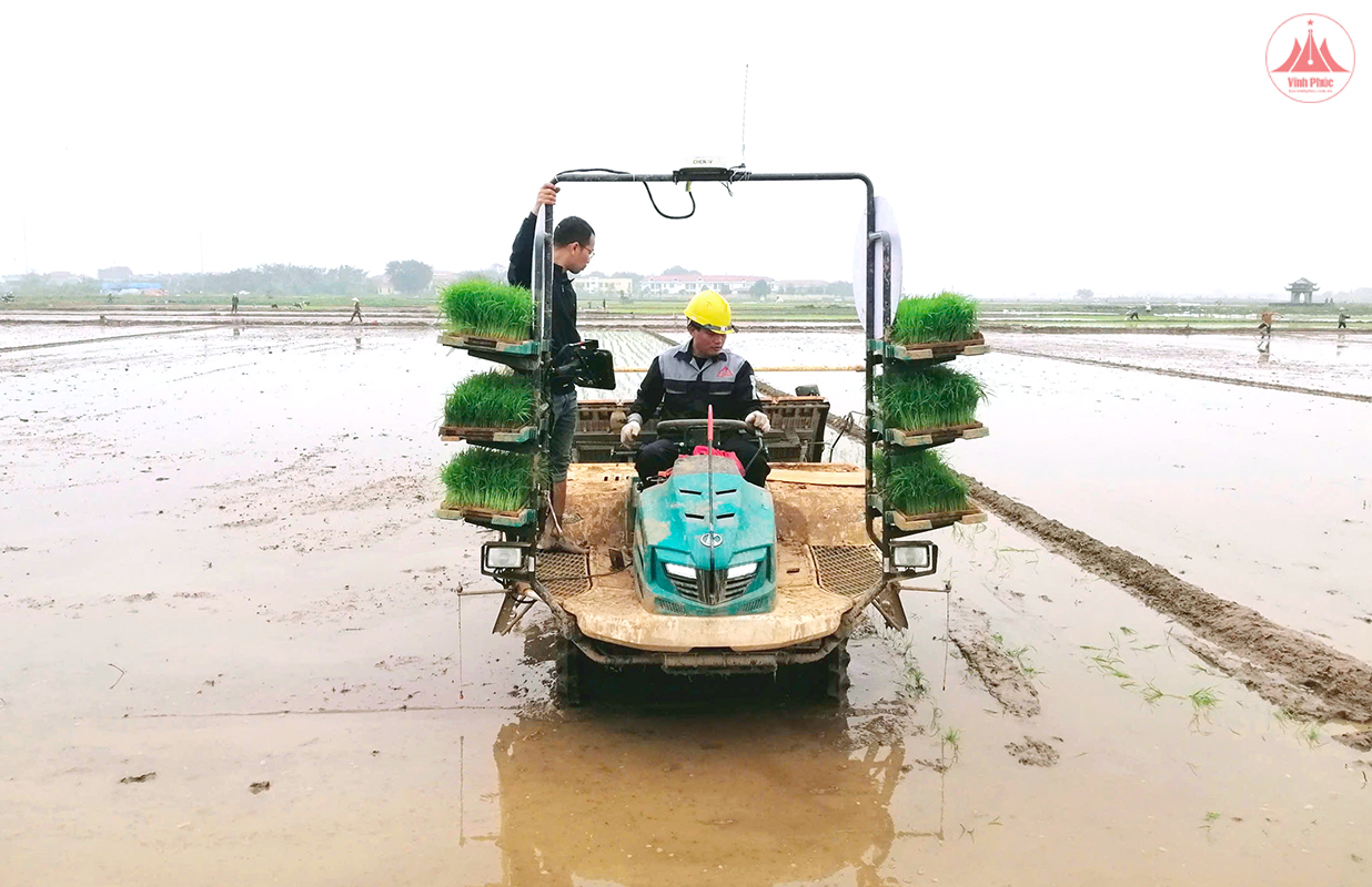 Các địa phương trong tỉnh mở rộng diện tích gieo mạ khay, cấy bằng máy. Các địa phương trong tỉnh mở rộng diện tích gieo mạ khay, cấy bằng máy.