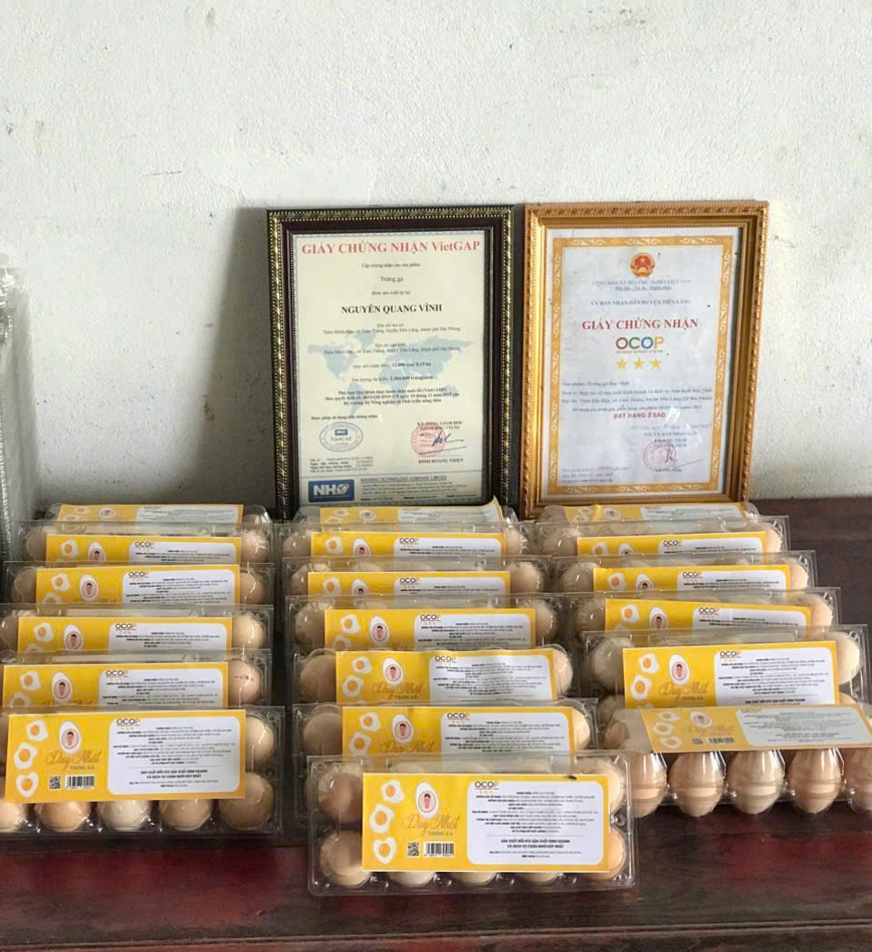 Sản phẩm trứng gà của HTX sản xuất kinh doanh và dịch vụ chăn nuôi Duy Nhất đã được chứng nhận sản phẩm OCOP 3 sao đợt 1 năm 2023 Sản phẩm trứng gà của HTX sản xuất kinh doanh và dịch vụ chăn nuôi Duy Nhất đã được chứng nhận sản phẩm OCOP 3 sao đợt 1 năm 2023