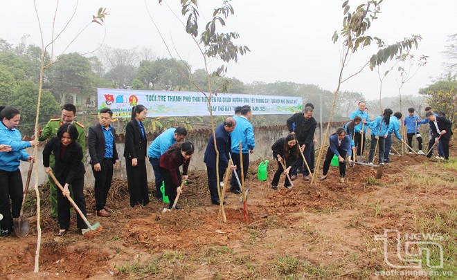 Tháng Thanh niên 2025: Tuổi trẻ Thái Nguyên lan tỏa yêu thương, dựng xây quê hương