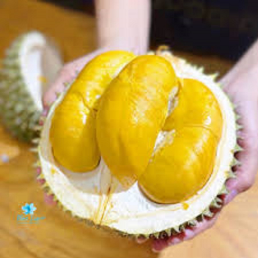 Giá sầu riêng hôm nay 3/3: Sầu Thái giảm
