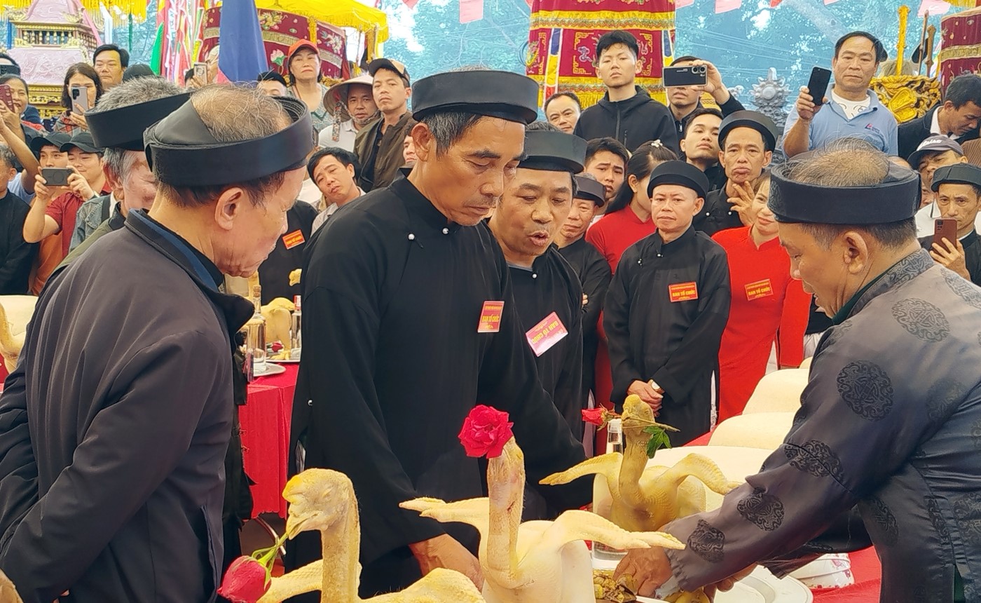 Gà có thế đẹp, đứng vững sẽ được chọn.