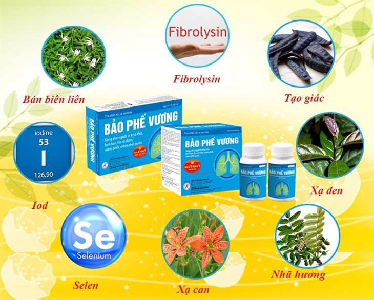 Các thành phần có trong Bảo Phế Vương giúp kháng khuẩn, chống viêm, ngăn ngừa tái cấu trúc Các thành phần có trong Bảo Phế Vương giúp kháng khuẩn, chống viêm, ngăn ngừa tái cấu trúc