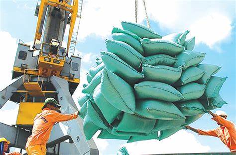 Cần có giải pháp hỗ trợ các doanh nghiệp trong việc thu mua, vận chuyển lúa, gạo Cần có giải pháp hỗ trợ các doanh nghiệp trong việc thu mua, vận chuyển lúa, gạo