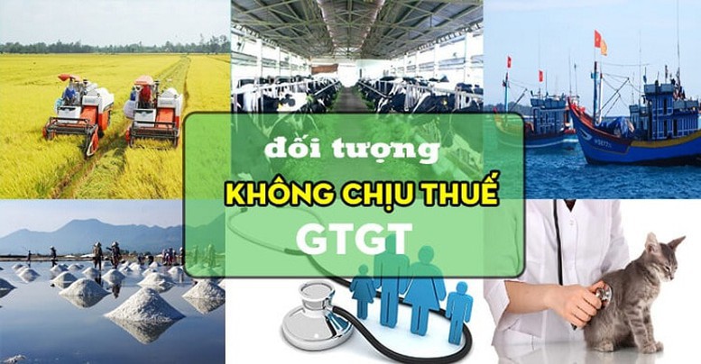 Sản phẩm giống vật nuôi theo quy định của pháp luật về chăn nuôi; muối được sản xuất từ nước biển; dịch vụ thú y... là đối tượng không chịu thuế giá trị gia tăng Sản phẩm giống vật nuôi theo quy định của pháp luật về chăn nuôi; muối được sản xuất từ nước biển; dịch vụ thú y... là đối tượng không chịu thuế giá trị gia tăng