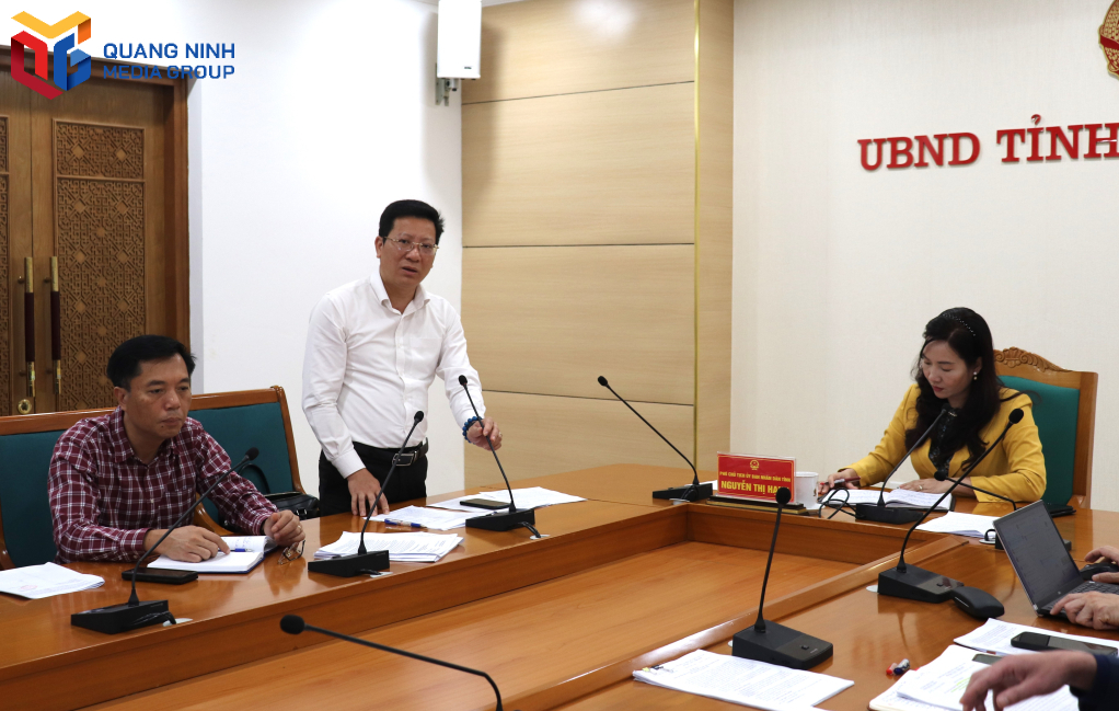 Giám đốc Sở Văn hóa - Thể thao và Du lịch báo cáo tiến độ triển khai.