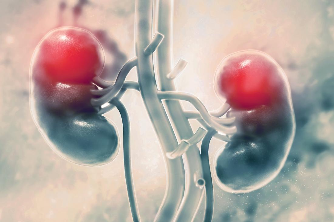 Thận yếu là tình trạng rất thường gặp