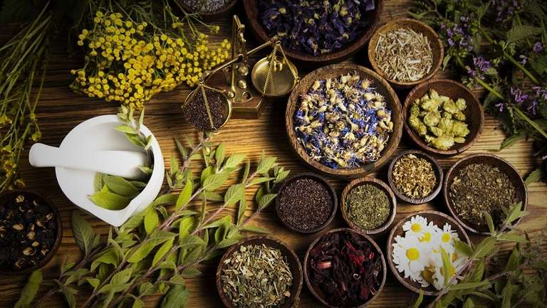 Một số bài thuốc nam chữa thận yếu