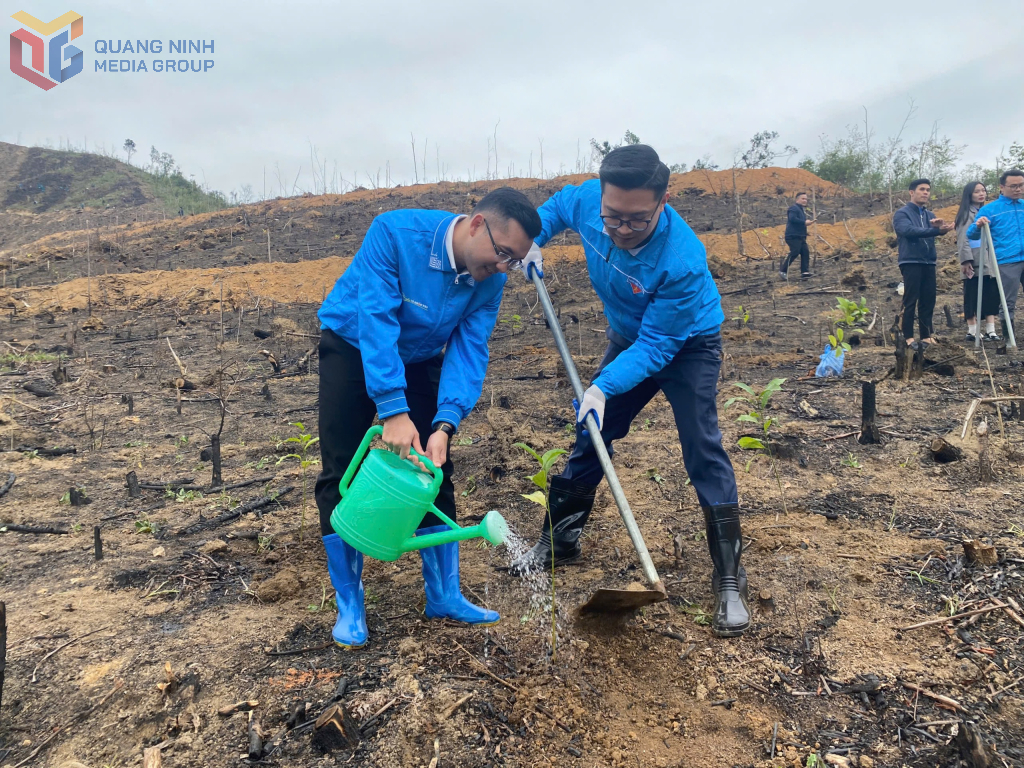 Đoàn viên, thanh niên TP Hạ Long tham gia hoạt động trồng cây tại xã Tân Dân.
