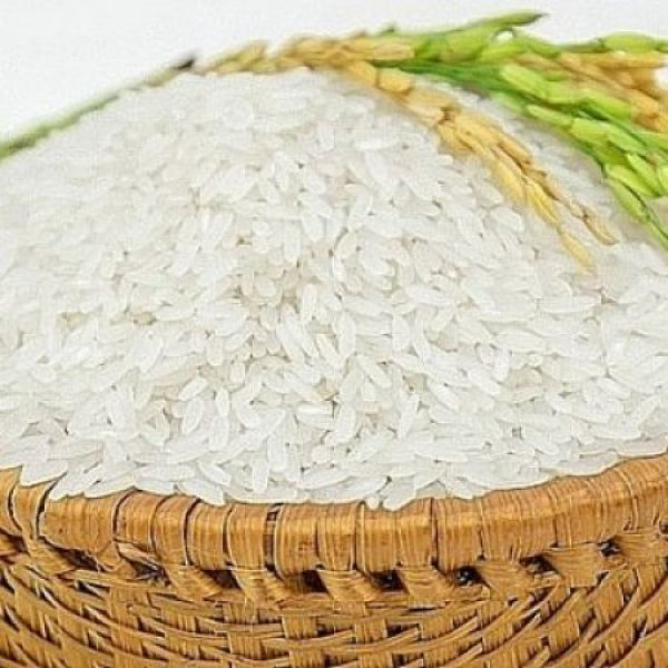 Thương hiệu gạo Hoa Minh của huyện Thọ Xuân đạt chứng nhận OCOP 3 sao