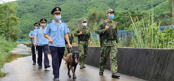 Lực lượng hải quan, biên phòng phối hợp tuần tra phòng chống buôn lậu trên tuyến biên giới huyện Bình Liêu.