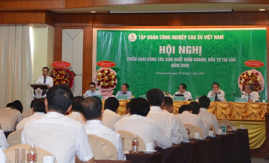 Quang cảnh Hội nghị