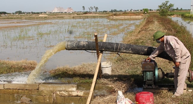 Thanh Hóa ban hành Kế hoạch phòng, chống hạn hán, thiếu nước, xâm nhập mặn năm 2025