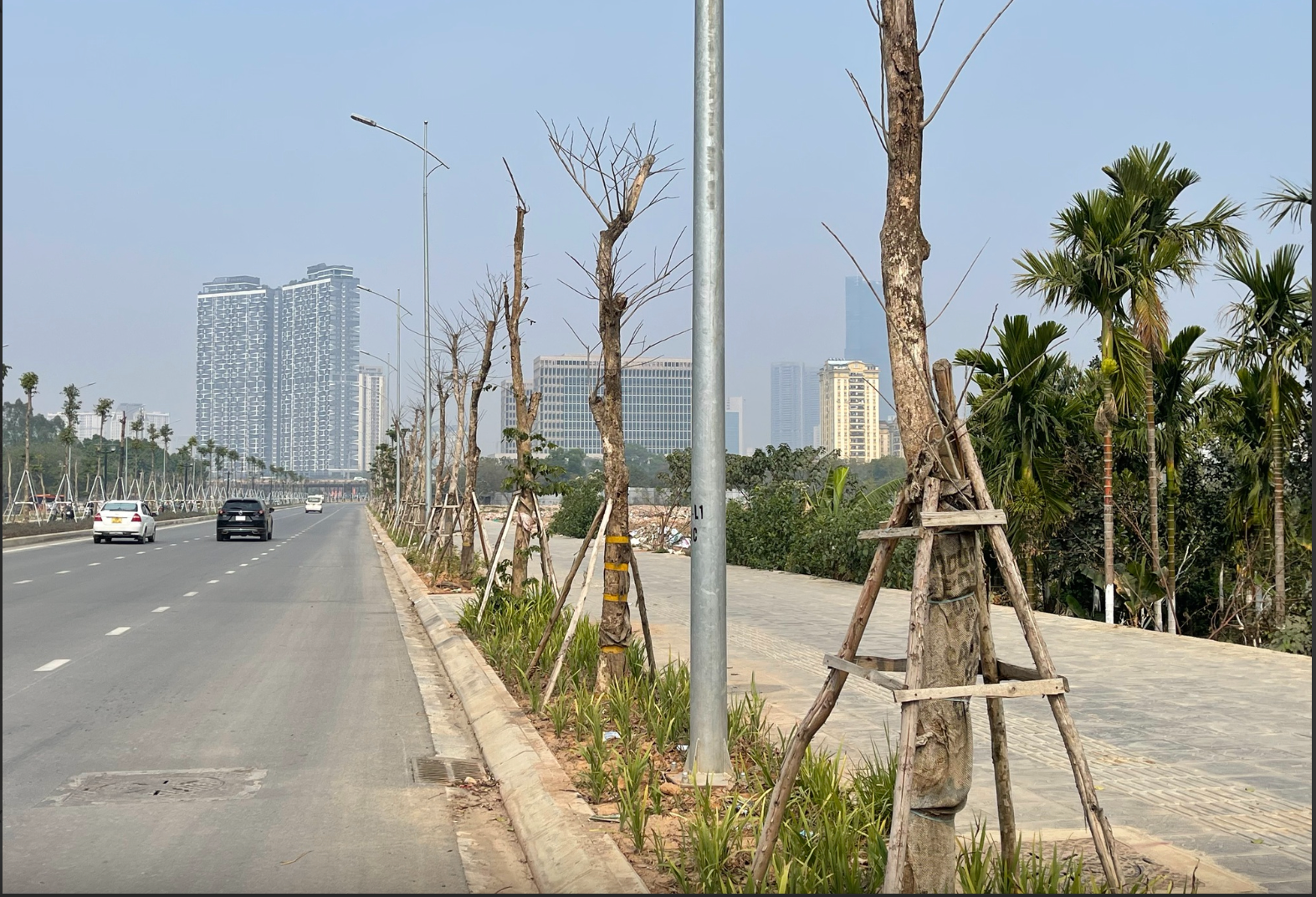 Hà Nội: Kiểm tra hiện trạng quản lý hệ thống cây xanh trên một số tuyến đường