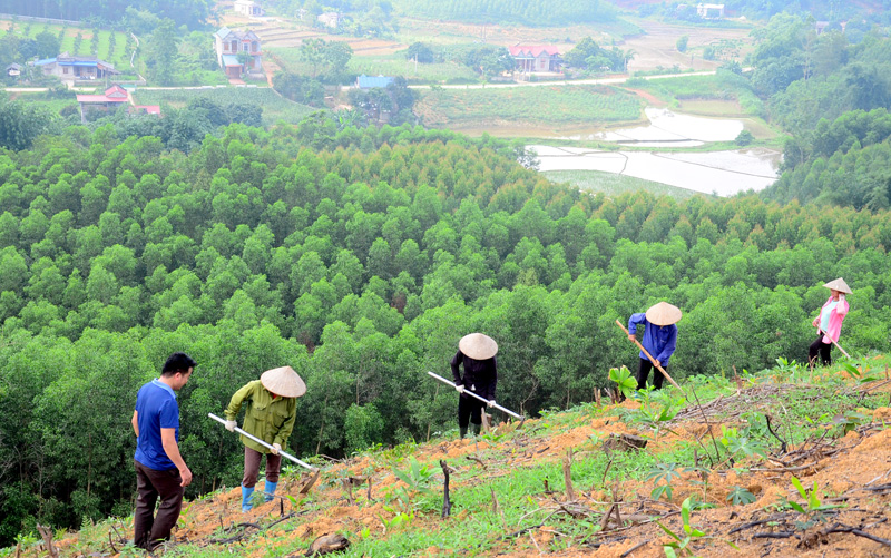 Ảnh minh họa, nguồn internet.