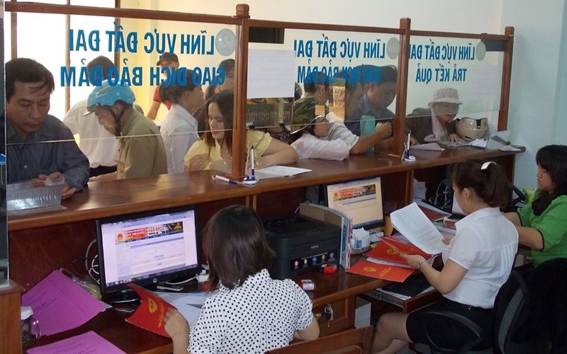 Ảnh internet.