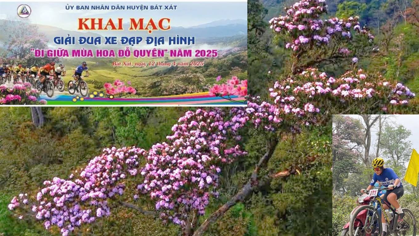 Giải đua xe đạp địa hình “Đi giữa mùa hoa đỗ quyên” năm 2025