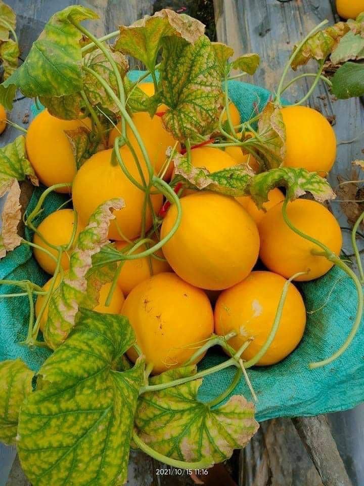 Truy xuất nguồn gốc là công cụ quan trọng nhằm minh bạch hóa thông tin sản phẩm, nâng cao chất lượng hàng hóa và bảo vệ quyền lợi người tiêu dùng Truy xuất nguồn gốc là công cụ quan trọng nhằm minh bạch hóa thông tin sản phẩm, nâng cao chất lượng hàng hóa và bảo vệ quyền lợi người tiêu dùng