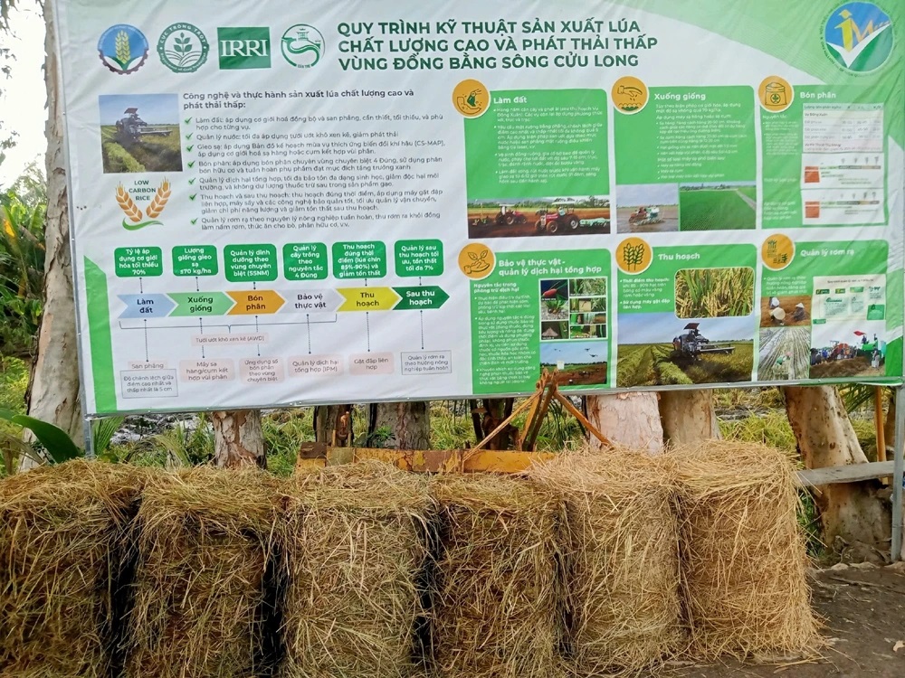 Kinh tế tuần hoàn, giải pháp để nâng cao chuỗi giá trị lúa gạo ở ĐBSCL.