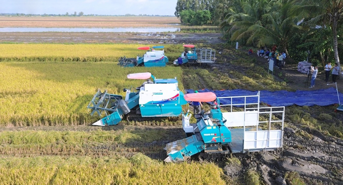 Đề án 1 triệu ha lúa đã bước đầu mang lại những kết quả rất đáng ghi nhận. (Ảnh minh họa) Đề án 1 triệu ha lúa đã bước đầu mang lại những kết quả rất đáng ghi nhận. (Ảnh minh họa)