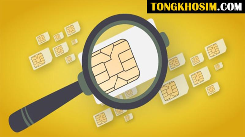 Nắm rõ các yếu tố định giá sim số đẹp là yếu tố quan trọng trong việc mua sim