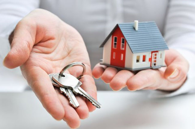 Nghị định quy định mới về tài sản được xác lập quyền sở hữu toàn dân. Ảnh minh họa, nguồn internet. Nghị định quy định mới về tài sản được xác lập quyền sở hữu toàn dân. Ảnh minh họa, nguồn internet.