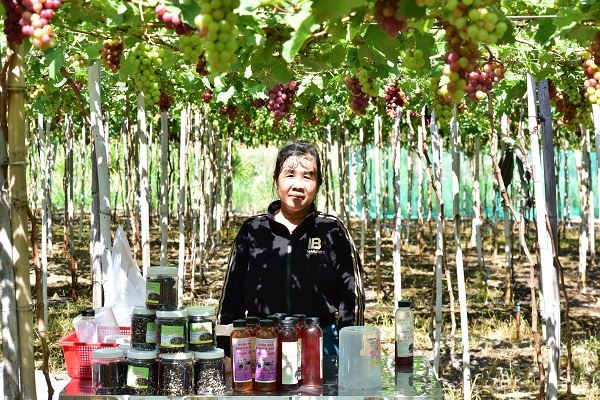 Vườn nho tại Làng Thái An, huyện Ninh Hải, tỉnh Ninh Thuận, luôn đón khách tới tham quan, trải nghiệm