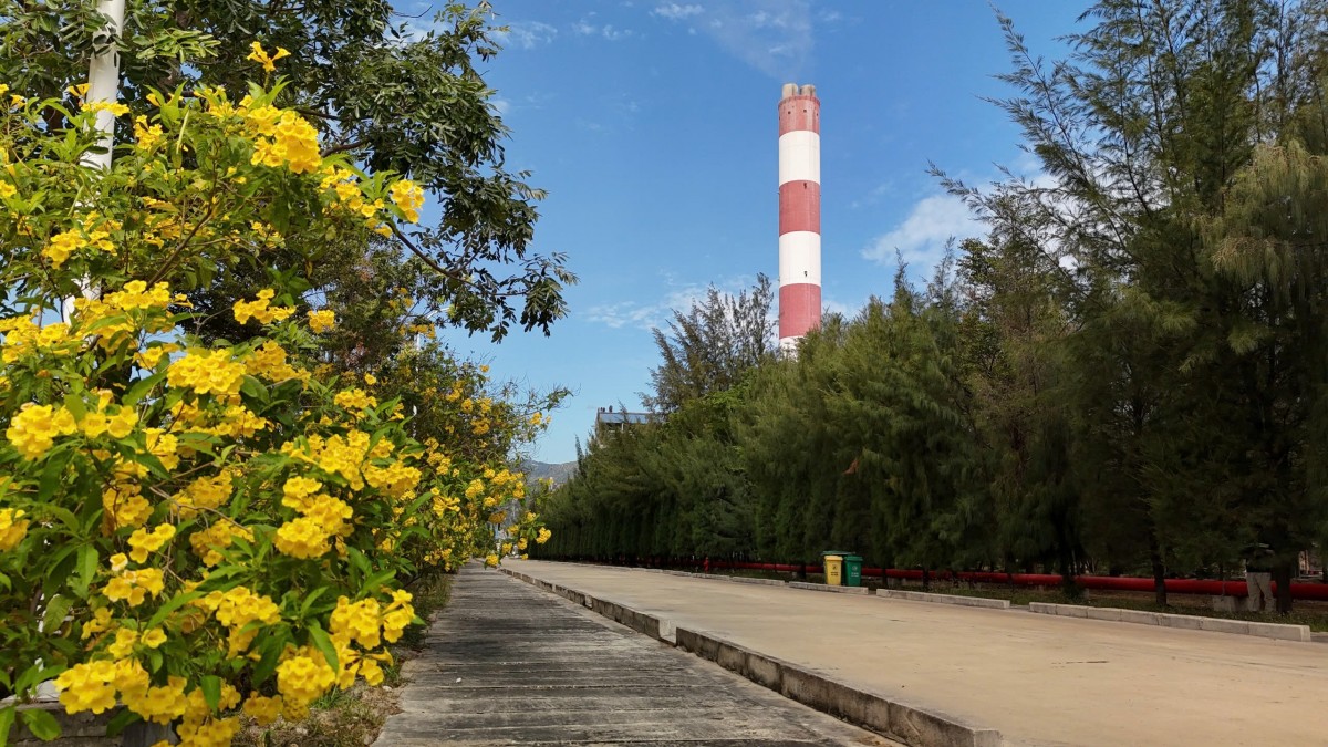 Phủ xanh khu vực kho than và khuôn viên Nhà máy Phủ xanh khu vực kho than và khuôn viên Nhà máy