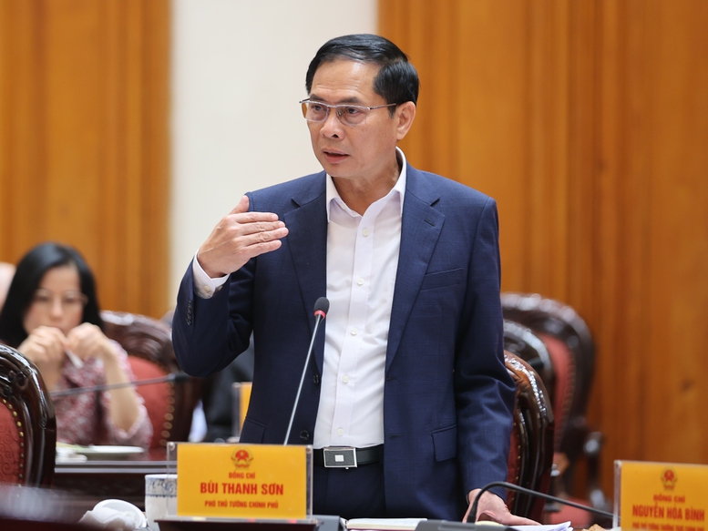 Phó Thủ tướng Bùi Thanh Sơn phát biểu tại phiên họp - Ảnh: VGP/Nhật Bắc