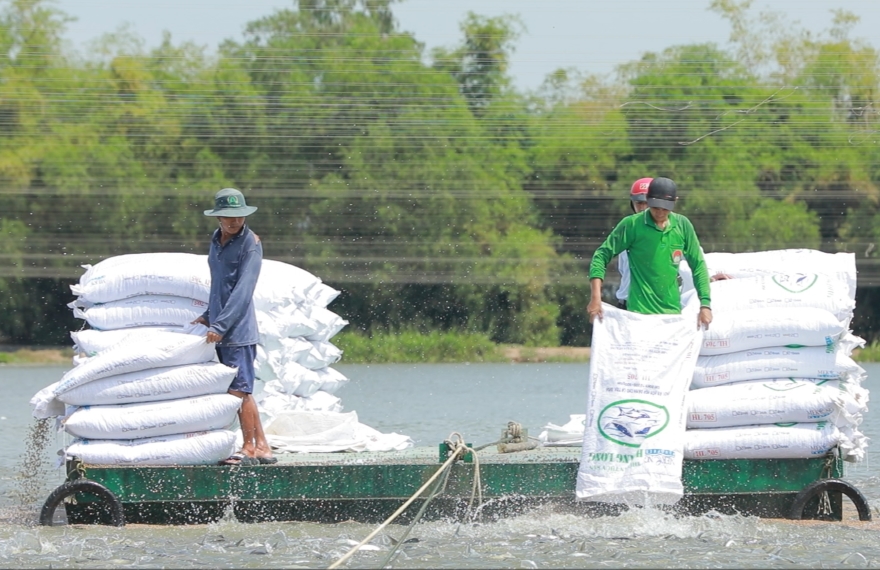 Sau 18 tháng triển khai, tổng số vốn Agribank đã giải ngân đạt gần 10.000 tỷ đồng, hỗ trợ hơn 6.500 lượt khách hàng Sau 18 tháng triển khai, tổng số vốn Agribank đã giải ngân đạt gần 10.000 tỷ đồng, hỗ trợ hơn 6.500 lượt khách hàng