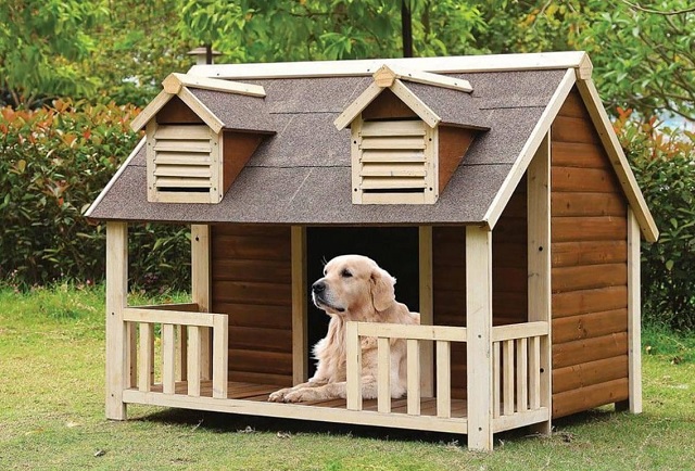 “Túp lều lý tưởng” của chú khuyển. Ảnh BQL-DA “Túp lều lý tưởng” của chú khuyển. Ảnh BQL-DA