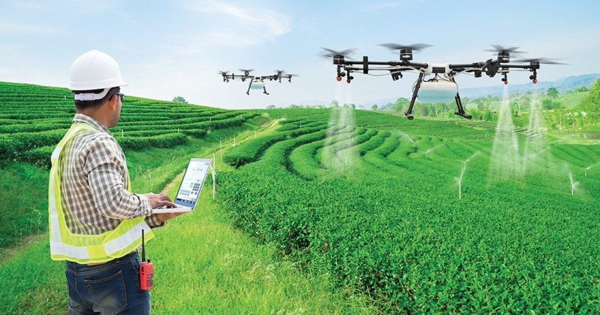 Kinh tế trưởng Maximo Torero của FAO gợi ý Việt Nam cần trao công nghệ AI cho nông nghiệp. Ảnh internet.