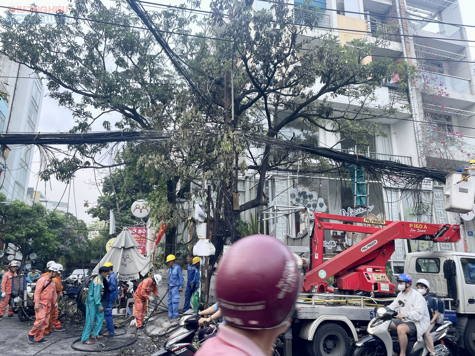 Vị trí cột điện xảy ra cháy để lộ phần lõi dây diện bên trong