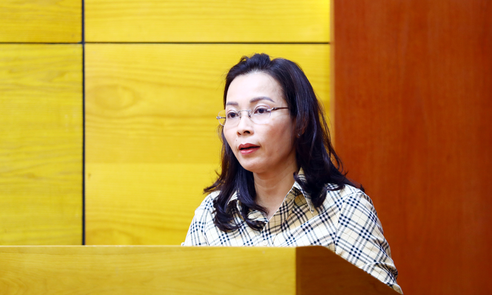 Đồng chí Nguyễn Thị Hương, Phó Bí thư Thường trực Tỉnh ủy, Chủ tịch HĐND tỉnh trình bày báo cáo tại hội nghị.