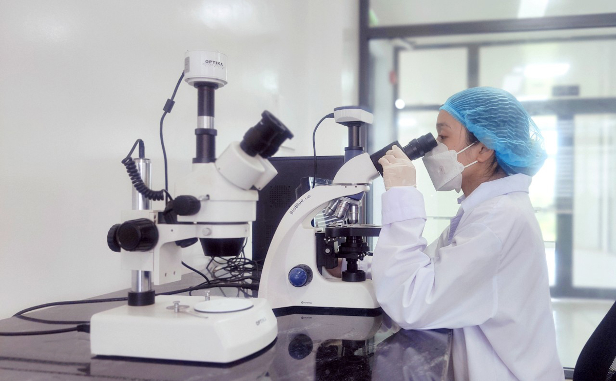 Đẩy mạnh hoạt động đào tạo và thu hút các nhà khoa học trẻ, nhân lực có trình độ cao (Ảnh minh họa)