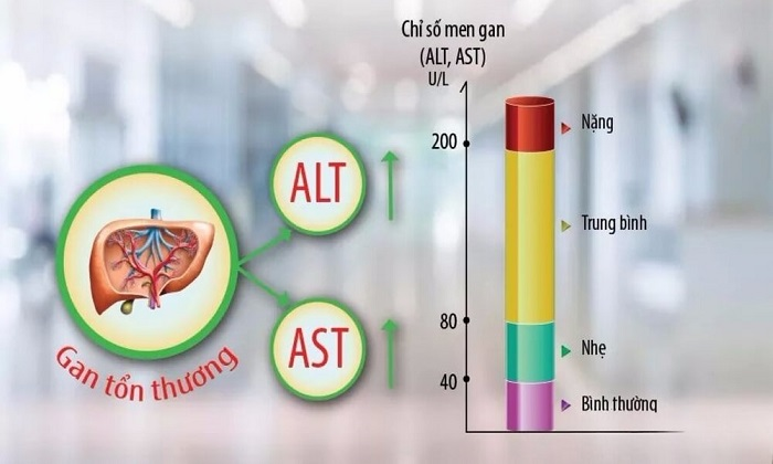 Men gan tăng cao báo hiệu gan đang bị tổn thương. Men gan tăng cao báo hiệu gan đang bị tổn thương.