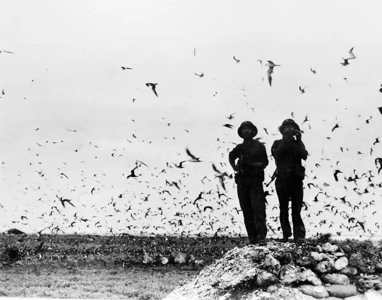 Bộ đội hải quân trên đảo Trường Sa được giải phóng, ngày 29/4/1975. Bộ đội hải quân trên đảo Trường Sa được giải phóng, ngày 29/4/1975.