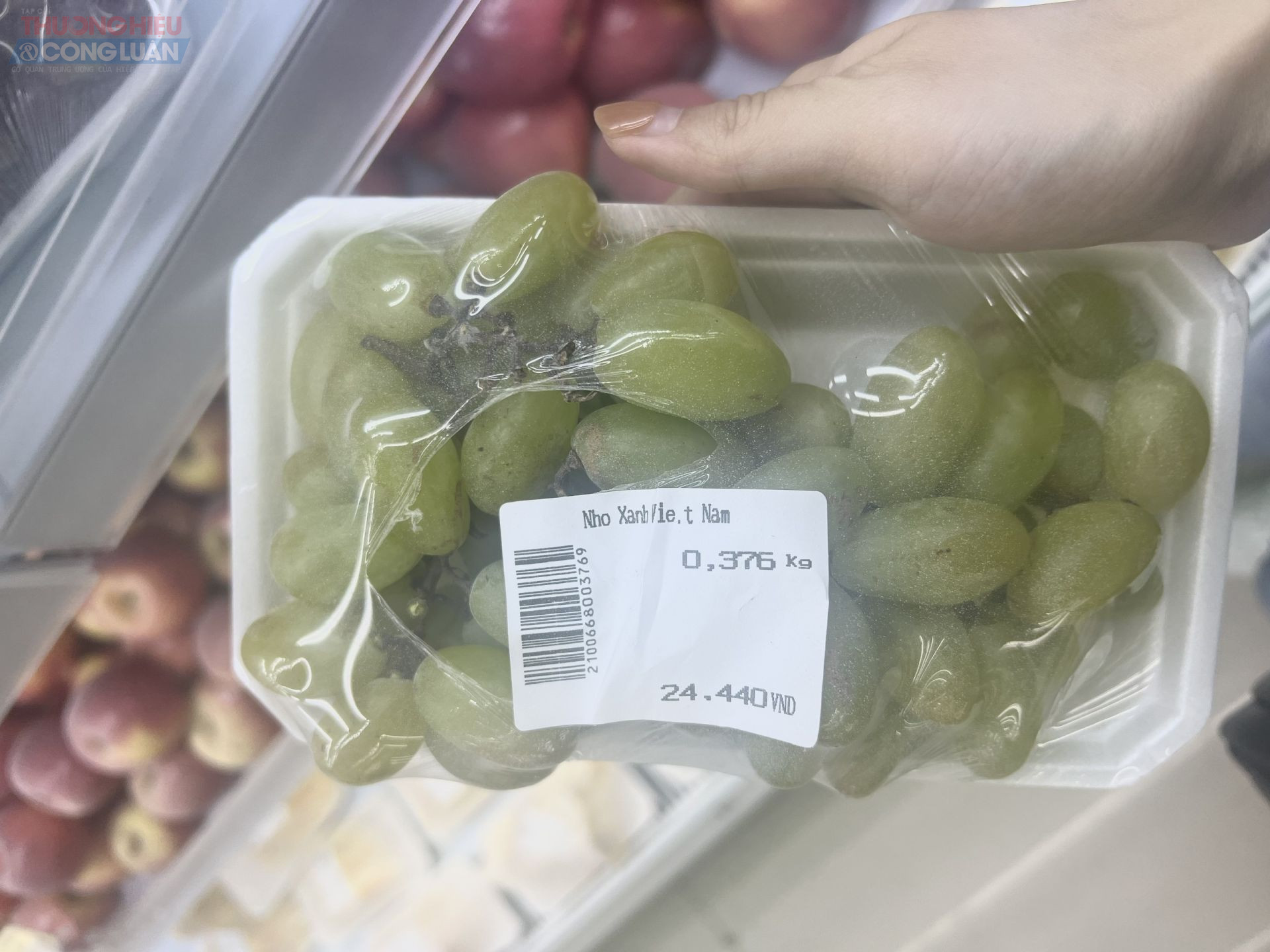 Khay nho này đã bị rách tấm màng bọc nilong bên ngoài, và bụi trắng phủ kín bề mặt quả nho, không biết bụi gì nhưng rất mất vệ sinh an toàn thực phẩm. Khay nho này đã bị rách tấm màng bọc nilong bên ngoài, và bụi trắng phủ kín bề mặt quả nho, không biết bụi gì nhưng rất mất vệ sinh an toàn thực phẩm.