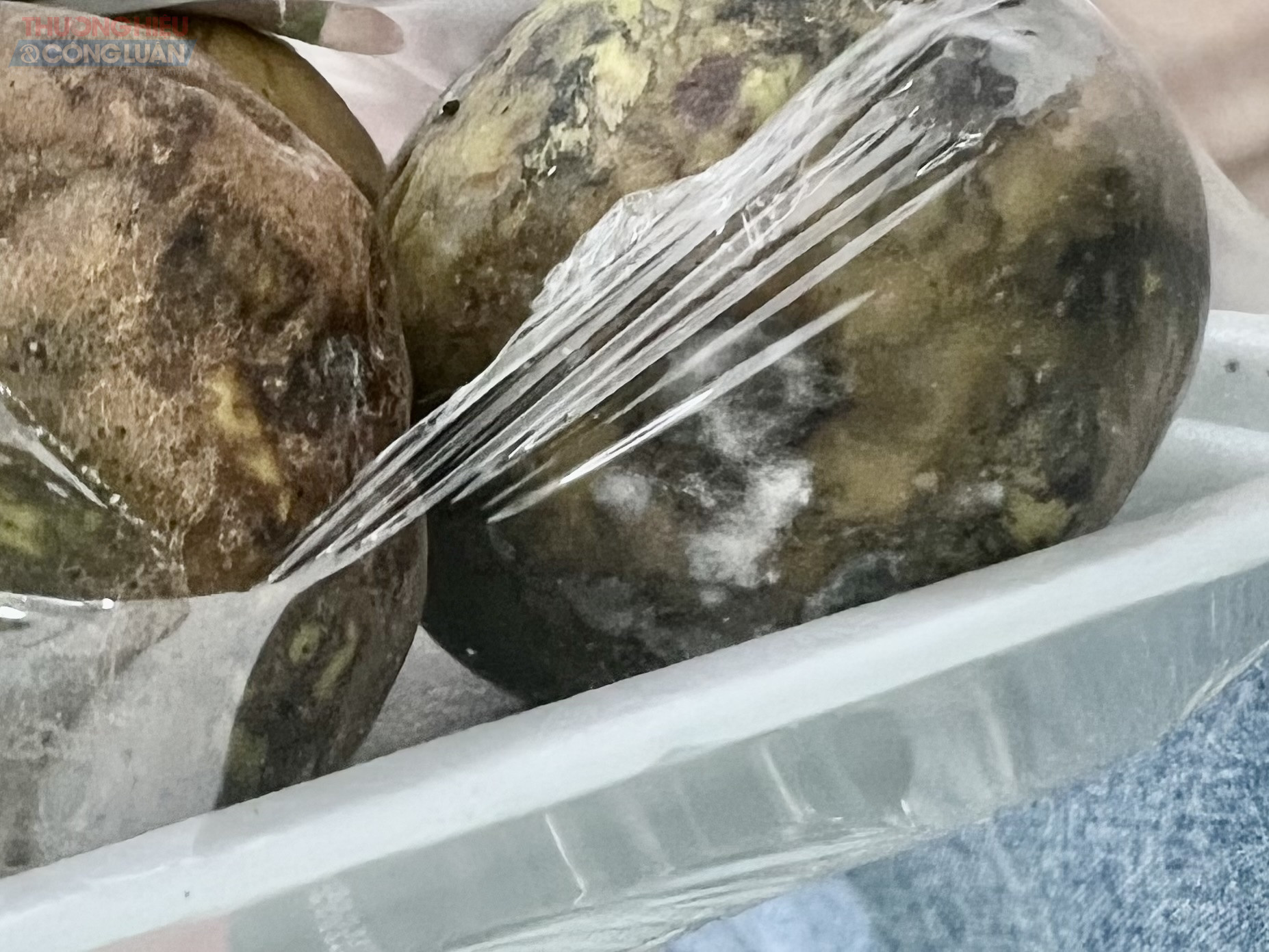 Cận cảnh mốc trắng xuất hiện tại quả cóc này được ghi nhận trực tiếp tại siêu thị Thành Đô 12 Khuất Duy Tiến Cận cảnh mốc trắng xuất hiện tại quả cóc này được ghi nhận trực tiếp tại siêu thị Thành Đô 12 Khuất Duy Tiến