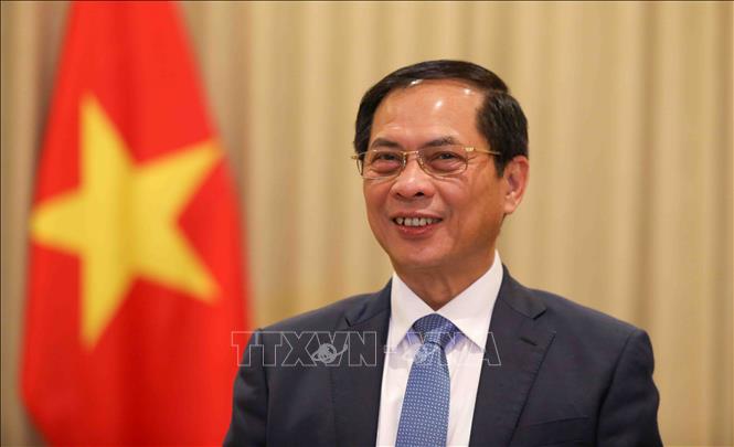 Phó Thủ tướng Chính phủ, Bộ trưởng Ngoại giao Bùi Thanh Sơn. Ảnh: TTXVN Phó Thủ tướng Chính phủ, Bộ trưởng Ngoại giao Bùi Thanh Sơn. Ảnh: TTXVN