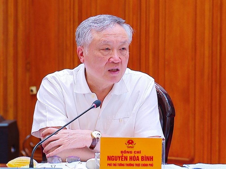 Phó Thủ tướng Thường trực Chính phủ Nguyễn Hòa Bình phát biểu tại phiên họp - Ảnh: VGP/Nhật Bắc