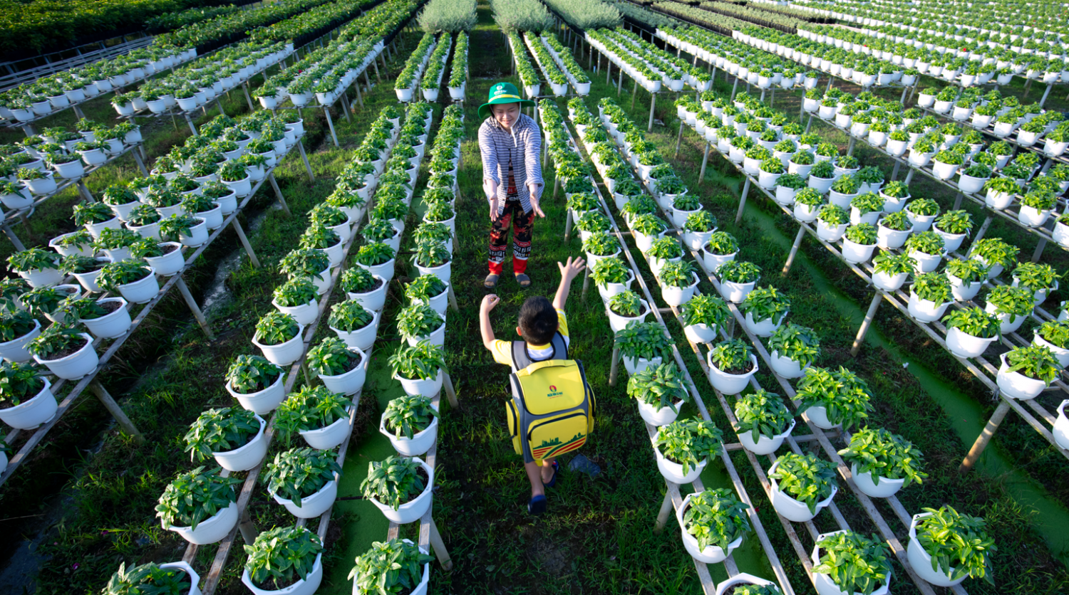 PVCFC ngày càng đề cao trách nhiệm doanh nghiệp trong bối cảnh thị trường toàn cầu