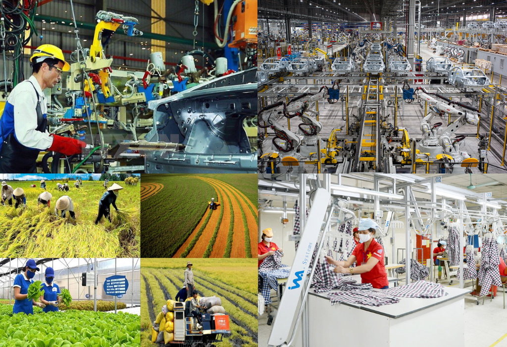 Ảnh minh họa, nguồn internet.