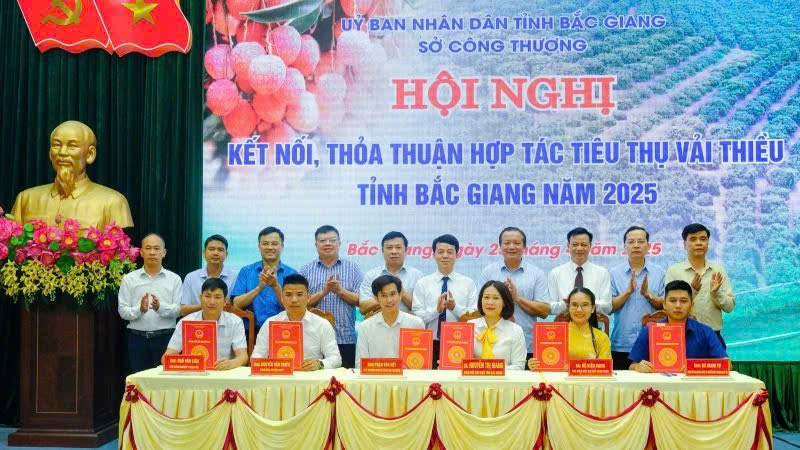 Các doanh nghiệp tham gia ký kết hợp tác tiêu thụ vải thiều Bắc Giang 2025.