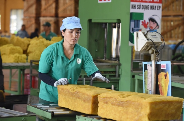 Công nhân chế biến cao su - Ảnh: VRG Công nhân chế biến cao su - Ảnh: VRG