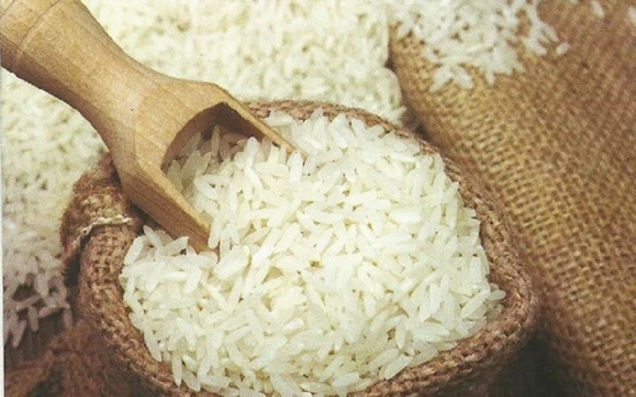 TCO lãi ròng quý I/2025 cao gấp 3,8 lần cùng kỳ năm trước