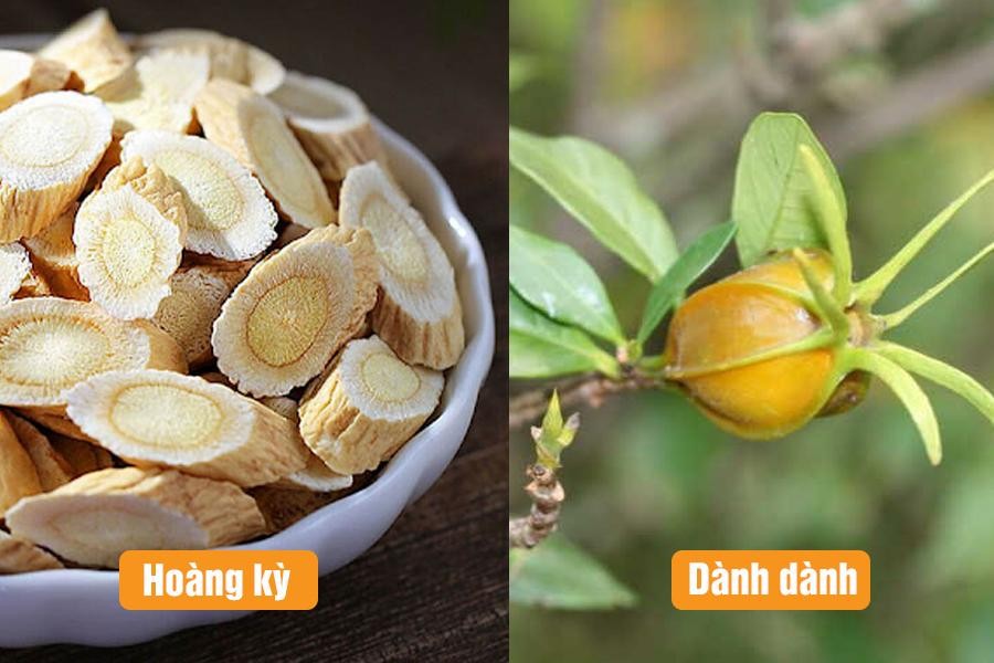 Các thảo dược hỗ trợ điều trị suy thận, hạ kali máu an toàn, hiệu quả