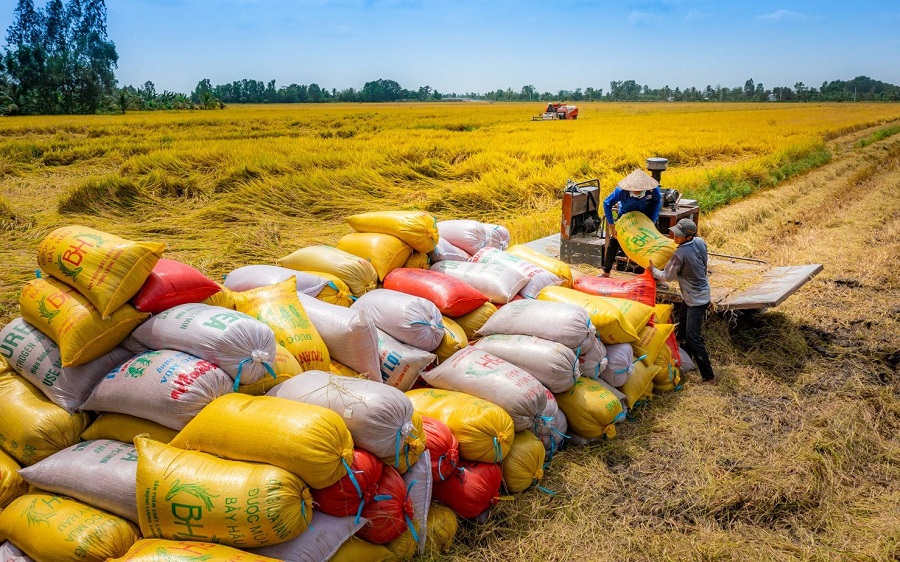 ADB hỗ trợ an ninh lương thực lên tới 40 tỷ đô la vào năm 2030