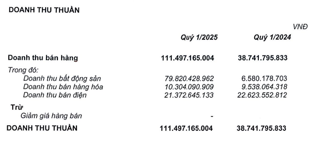 Doanh thu tăng cao trong quý I chủ yếu đến từ lĩnh vực bất động sản
